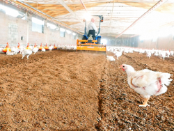 fræse til blanding af fjerkræ underlag pavo 140