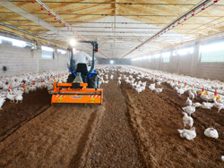 fræse til blanding af fjerkræ underlag pavo 160