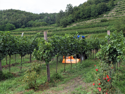 slagleklipper 140cm til kompakte traktorer som john deere new holland lince 140