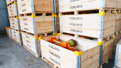 slagleklipper 100cm svingbar volpe 100