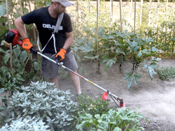 universalkutter for kantklipper 4 blader