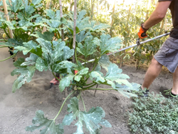 universalkutter for kantklipper 4 blader