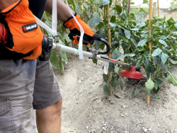 universalkutter for kantklipper 4 blader