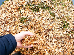 professionel flishugger bio kompostkværn dk 800 honda