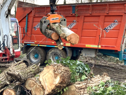 log grapple with fixed pendulum rotator for minidiggers and forest cranes dk 16 gr 30f