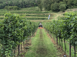 flail mower for compact tractors 140cm mulcher shredder with hammers lince 140